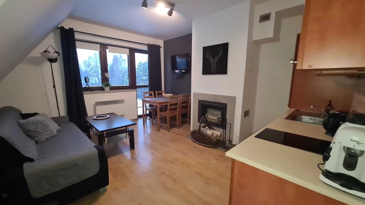 Apartament Bajka Bialka T. z kuchnia nocleg gory /wolne Termy