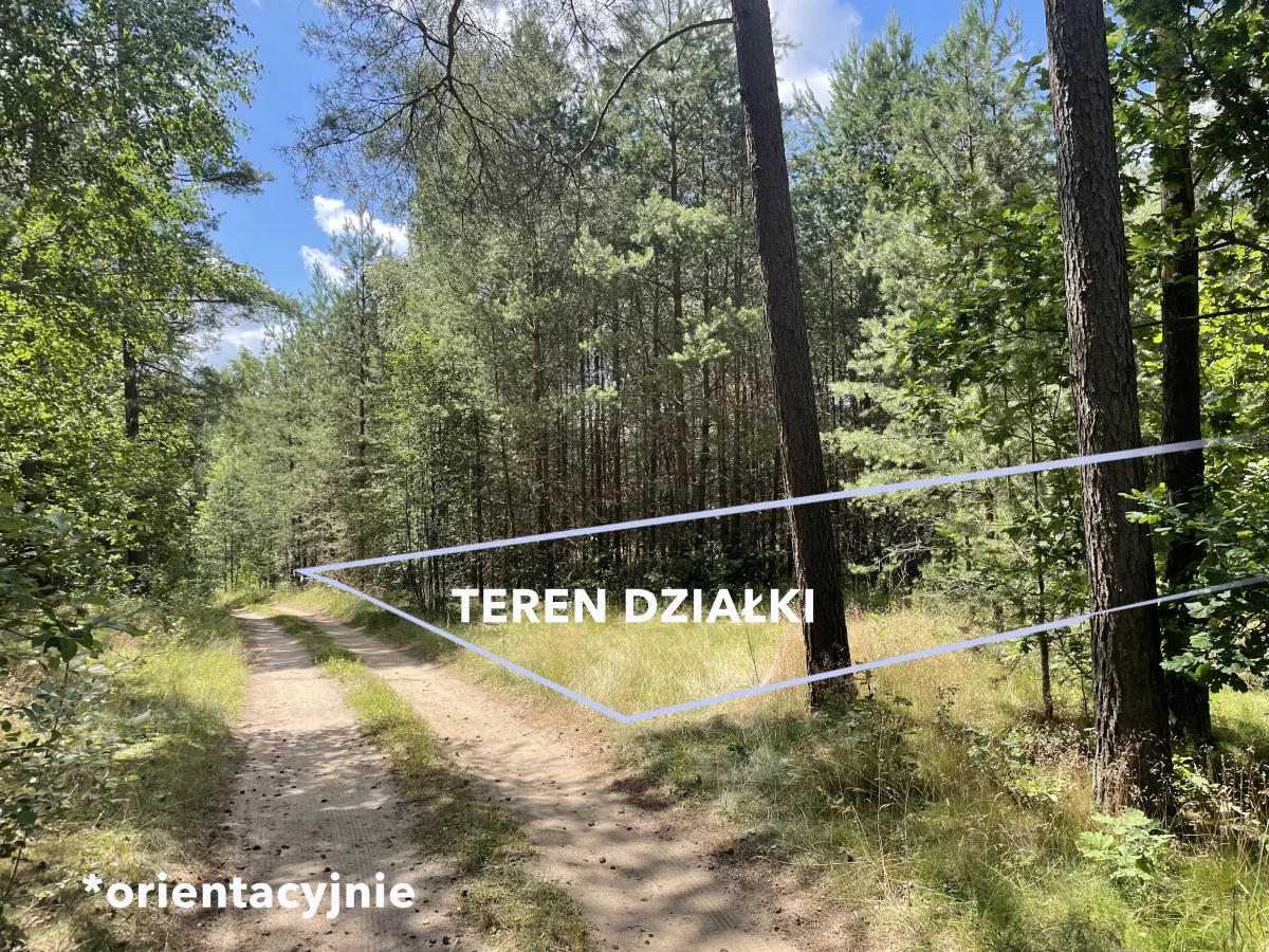 Działka w lesie na Mazurach Tylkowo gm Pasłęk 815m2
