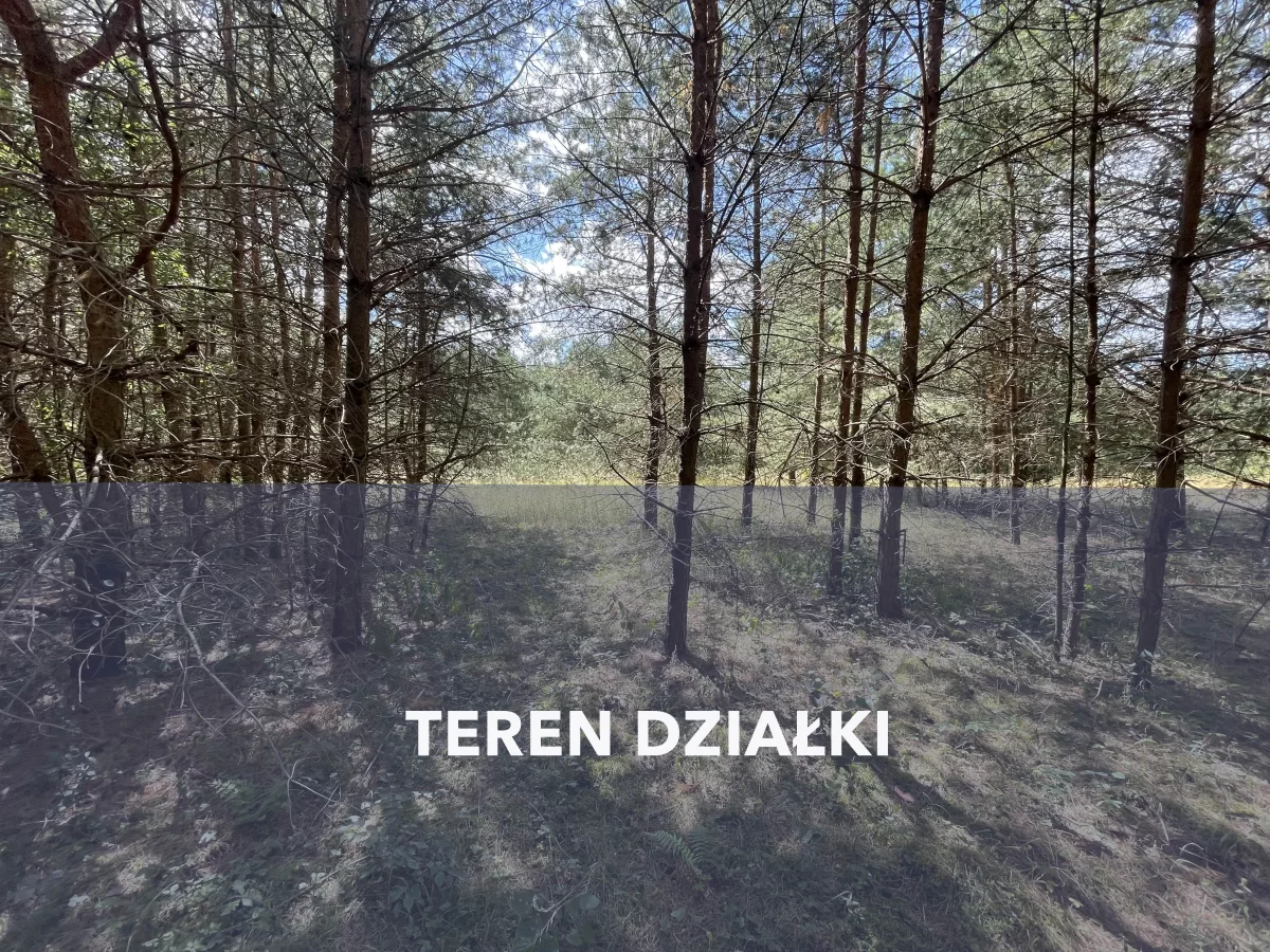 Działka w lesie na Mazurach Tylkowo gm Pasłęk 815m2