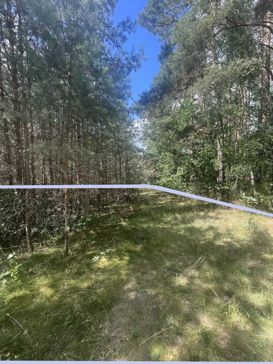 Działka w lesie na Mazurach Tylkowo gm Pasłęk 815m2