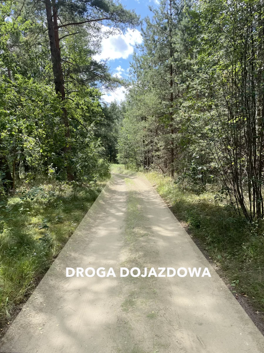 Działka w lesie na Mazurach Tylkowo gm Pasłęk 815m2