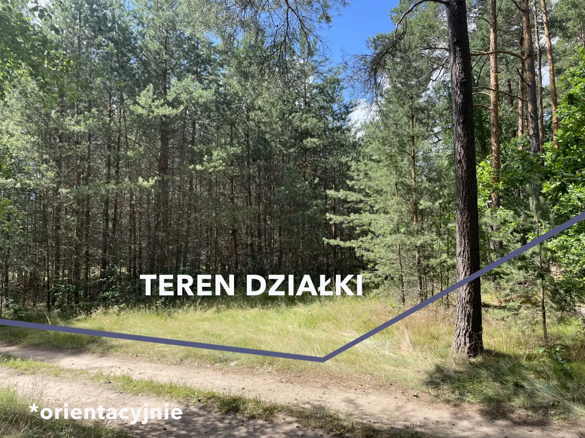 Działka w lesie na Mazurach Tylkowo gm Pasłęk 815m2