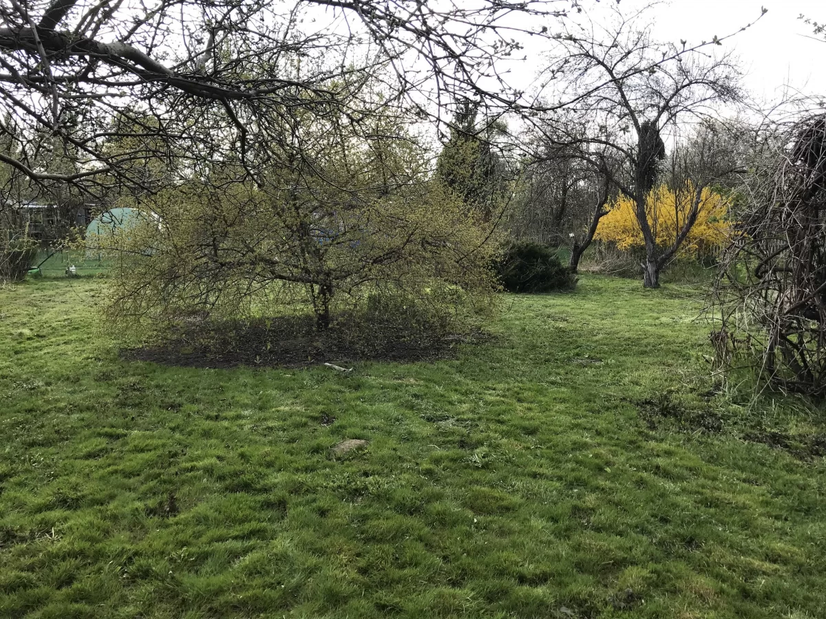 Działka ROD Warszawa Wawer Skalnicowa