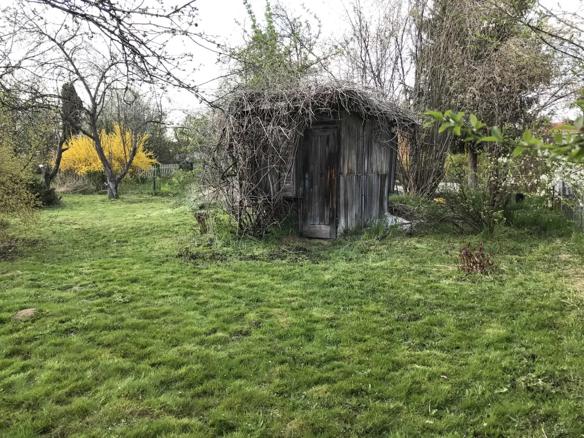 Działka ROD Warszawa Wawer Skalnicowa