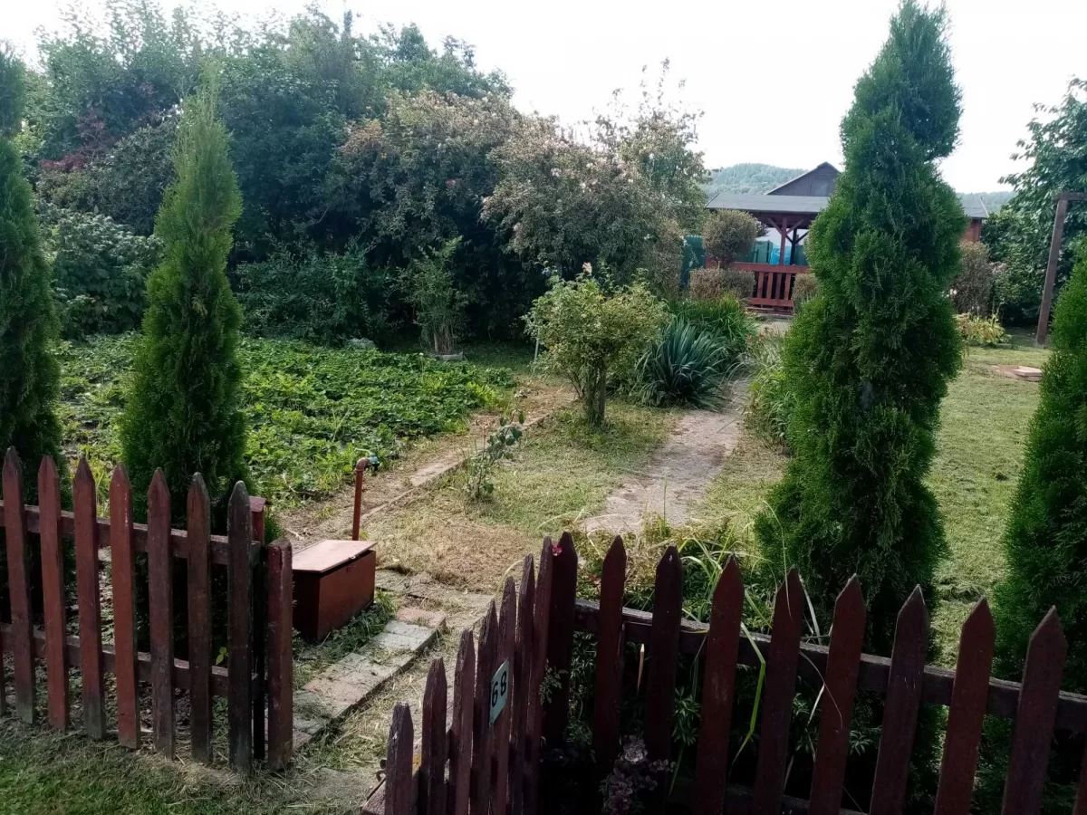Ogródek działkowy