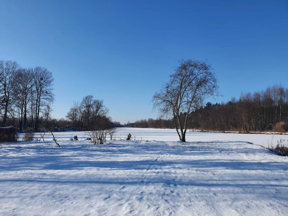 Działka z przepiękną linią brzegową