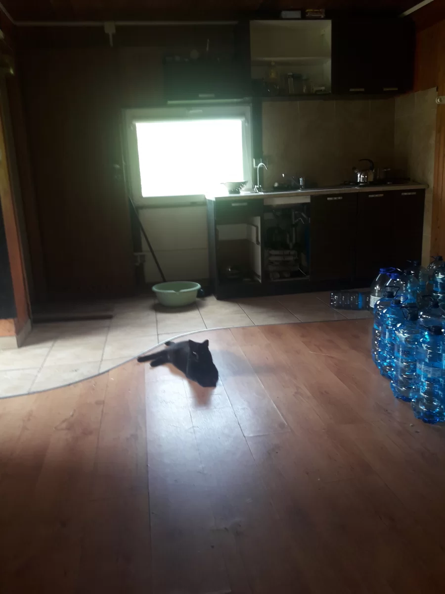 Sprzedam domek drewniany caloroczny letniskowy w Marki Czarna Struga