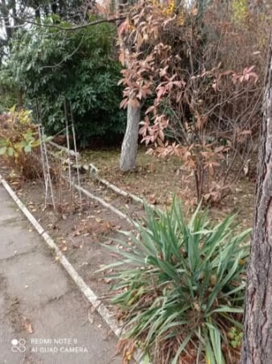 Sprzedam ogrodek działkowego