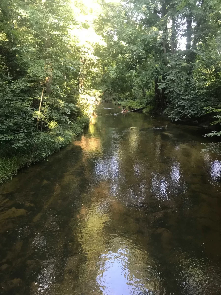 Sprzedam Dom Roztocze pod Zwierzyńcem