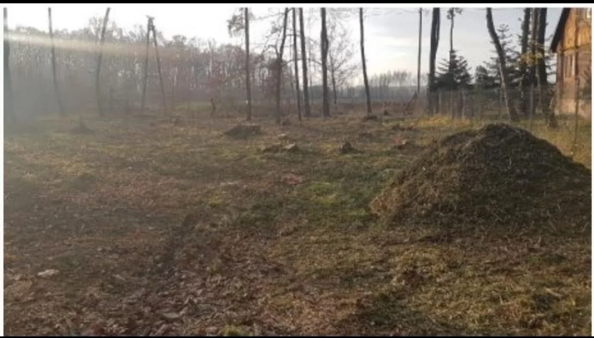 Działka budowlana bardzo blisko Warszawy.