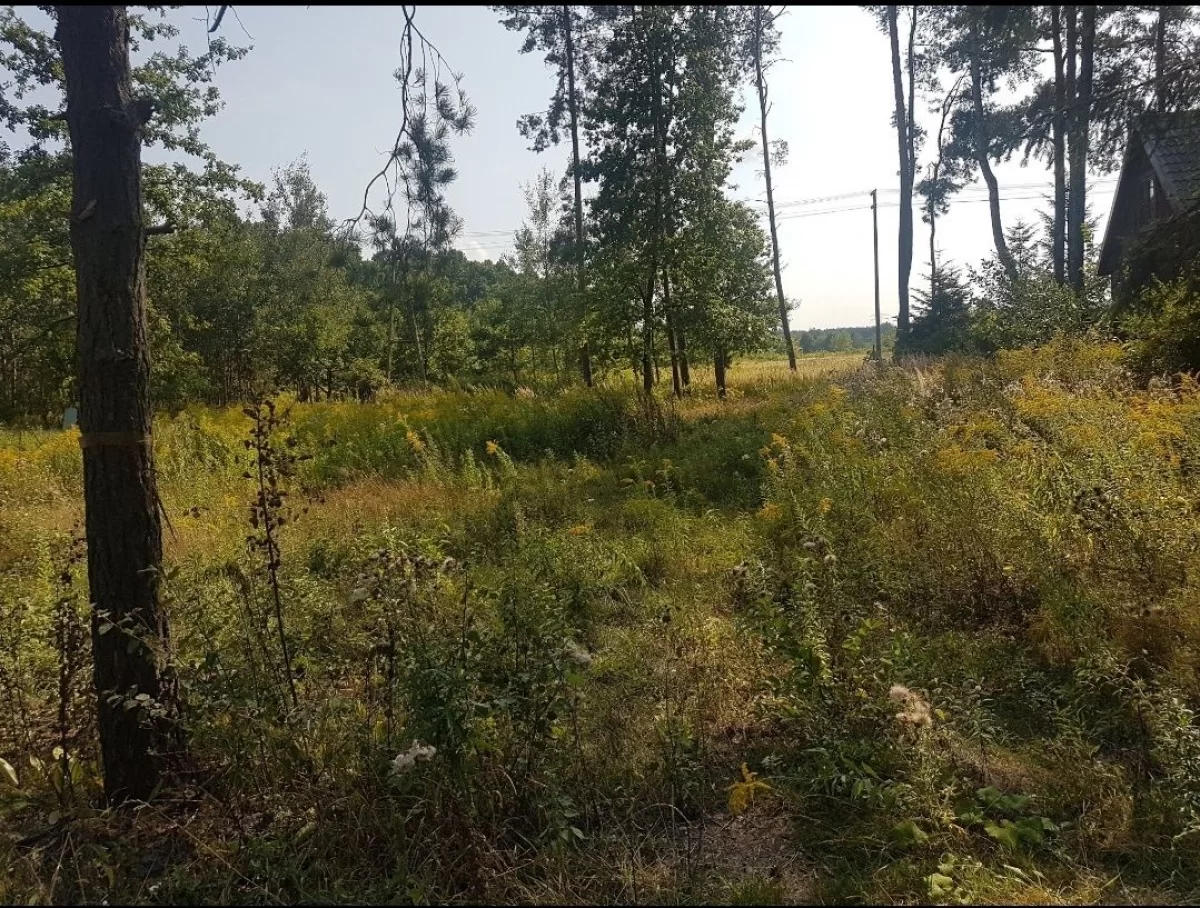 Działka budowlana bardzo blisko Warszawy.