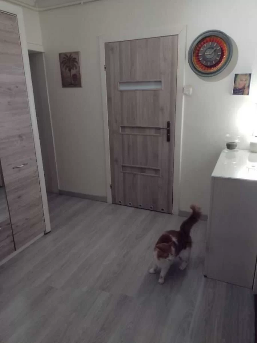 Sprzedam mieszkanie 2pokoje Zwoleń centrum 52m