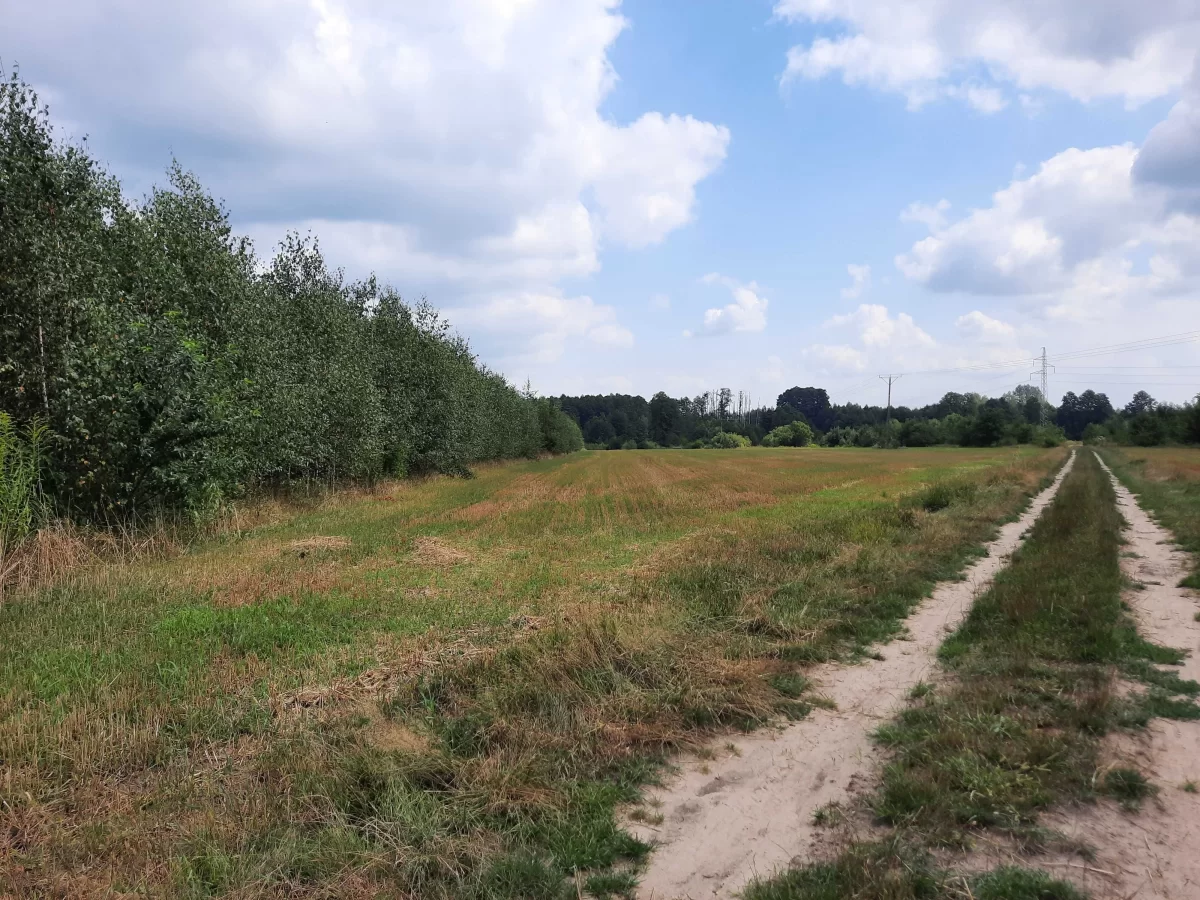 Działki budowlane okolice Wyszkowa 60 km od Warszawy