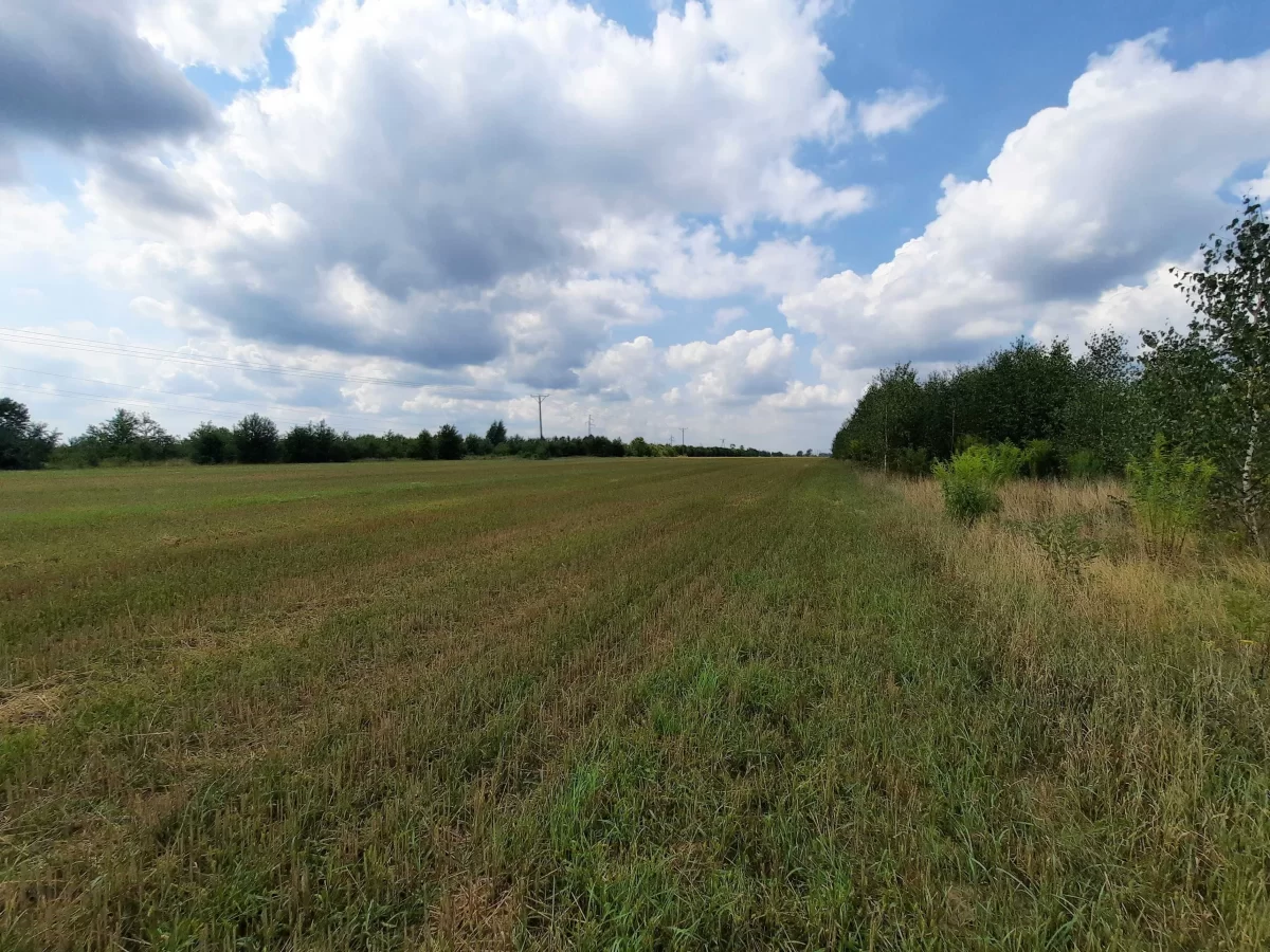 Działki budowlane okolice Wyszkowa 60 km od Warszawy