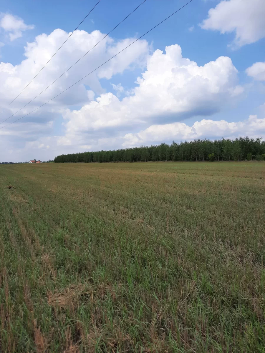 Działki budowlane okolice Wyszkowa 60 km od Warszawy