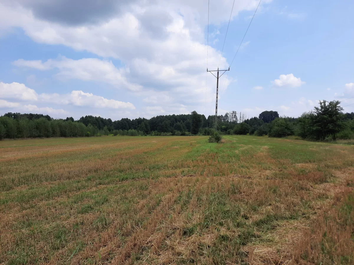 Działki budowlane okolice Wyszkowa 60 km od Warszawy