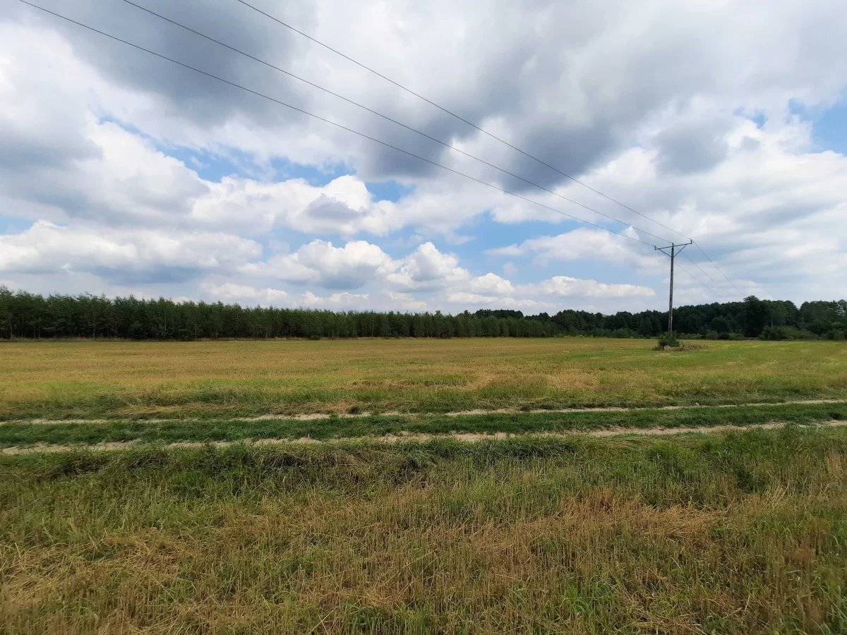 Działki budowlane okolice Wyszkowa 60 km od Warszawy