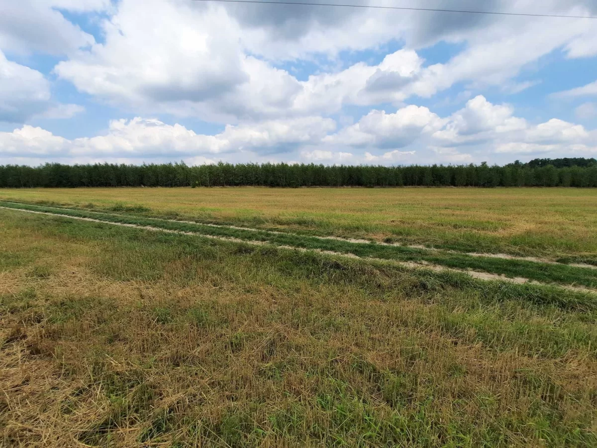 Działki budowlane okolice Wyszkowa 60 km od Warszawy
