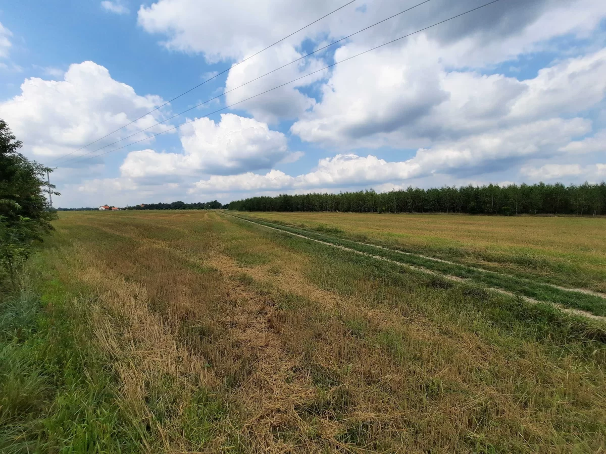 Działki budowlane okolice Wyszkowa 60 km od Warszawy