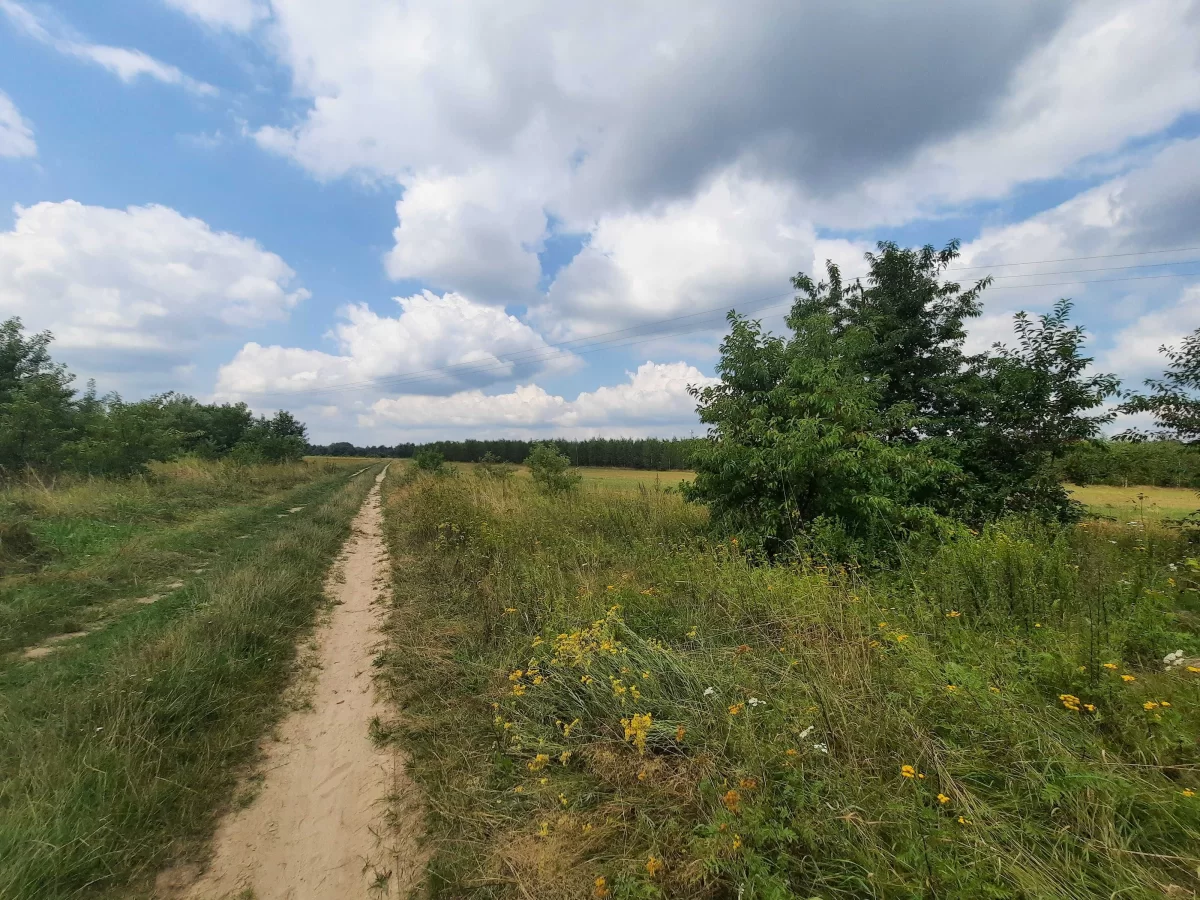 Działki budowlane okolice Wyszkowa 60 km od Warszawy