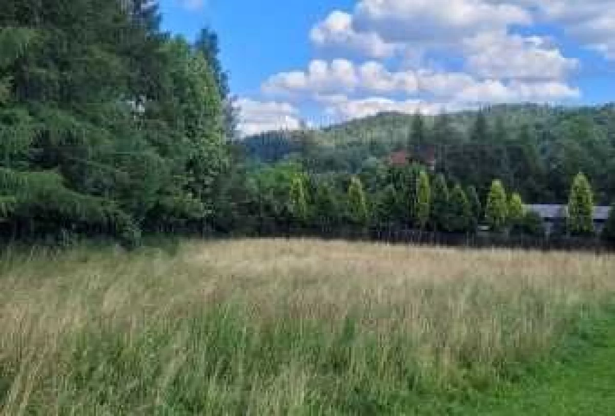Sprzedam piękną budowlaną, inwestycyjną.