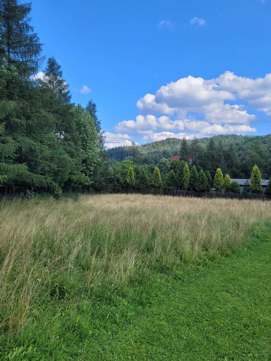 Sprzedam piękną budowlaną, inwestycyjną.