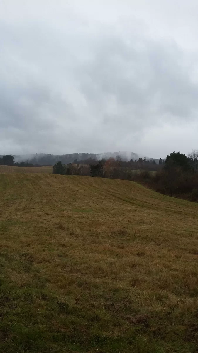 Sprzedam działkę rolną 1,3 ha nad Soliną