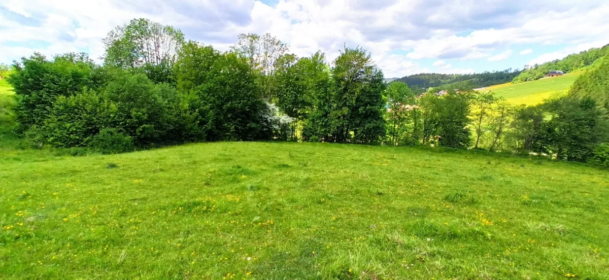 Działka Zawóz, Solina, Bieszczady