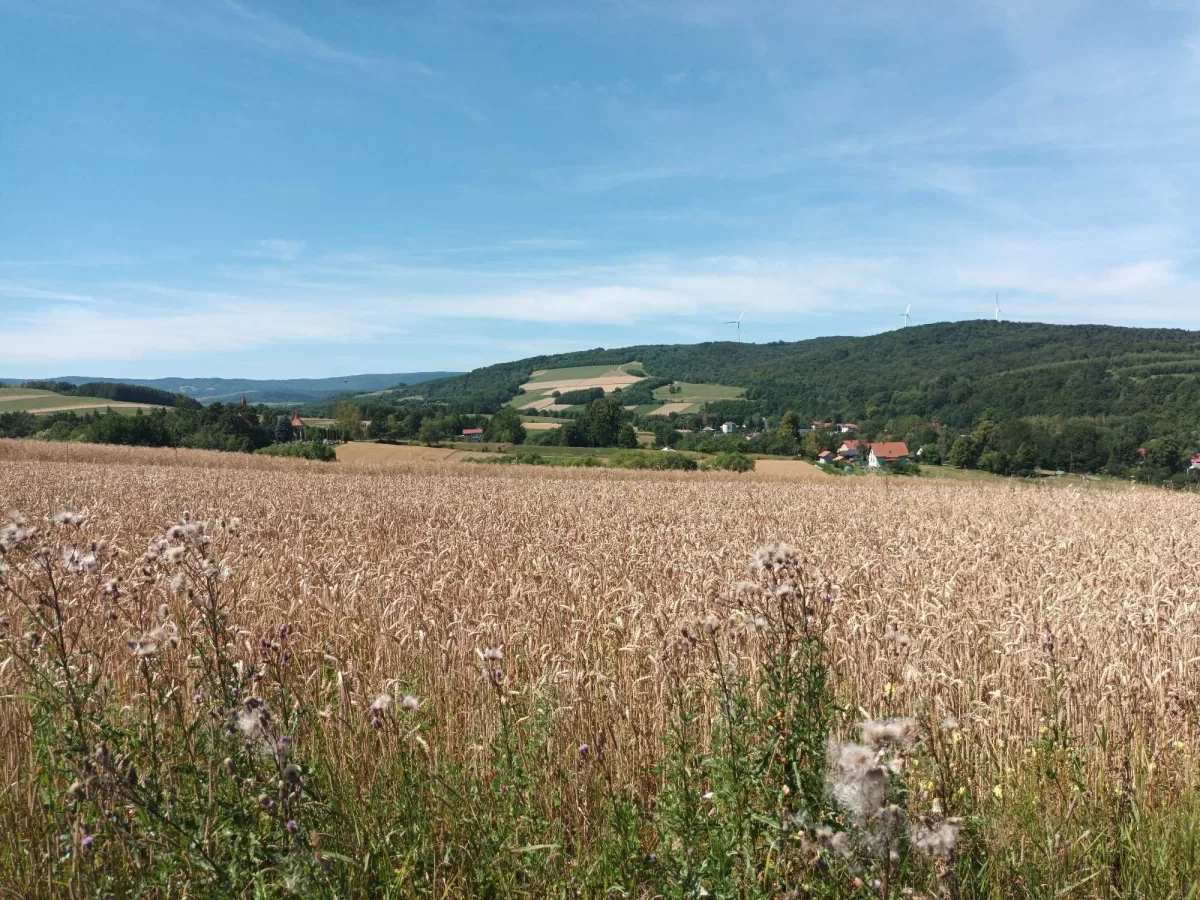 Bieszczady zach./Beskid Niski -działka budowlana na wzgórzu! bezpośred