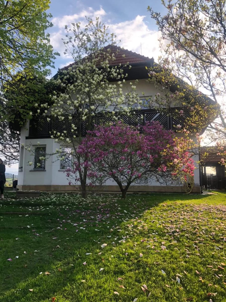 Dom wolnostojący w Nowym Sączu sprzedam