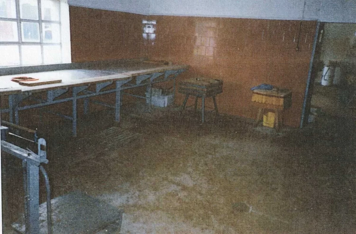 Gospodarstwo 6,5 ha Woźniki Śl domy, warsztat, chlewnia, garaże, las
