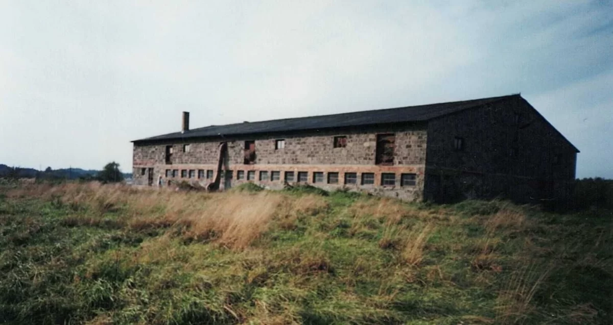 Gospodarstwo 6,5 ha Woźniki Śl domy, warsztat, chlewnia, garaże, las