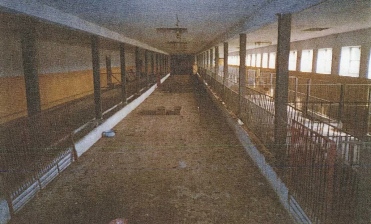 Gospodarstwo 6,5 ha Woźniki Śl domy, warsztat, chlewnia, garaże, las