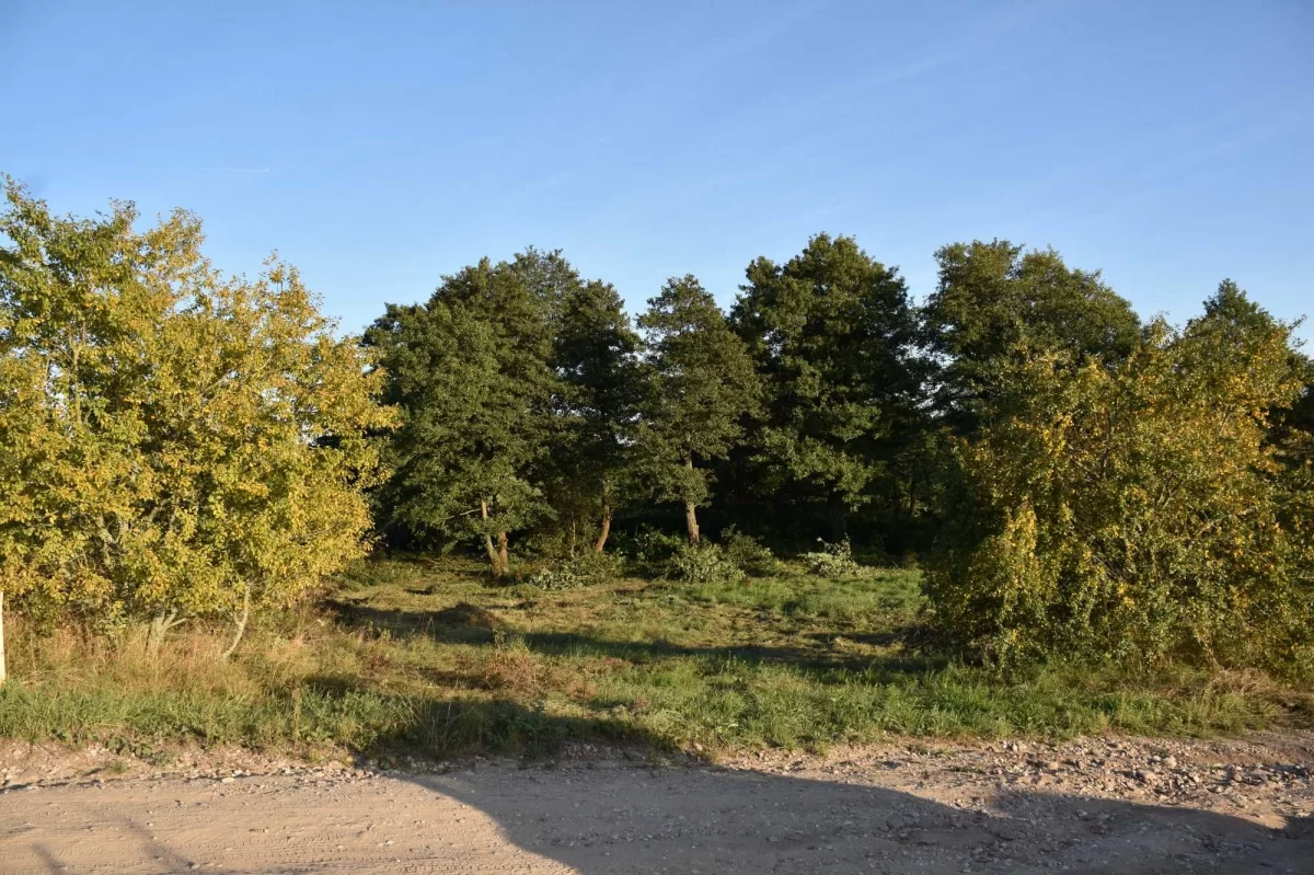 Działka na mazurach