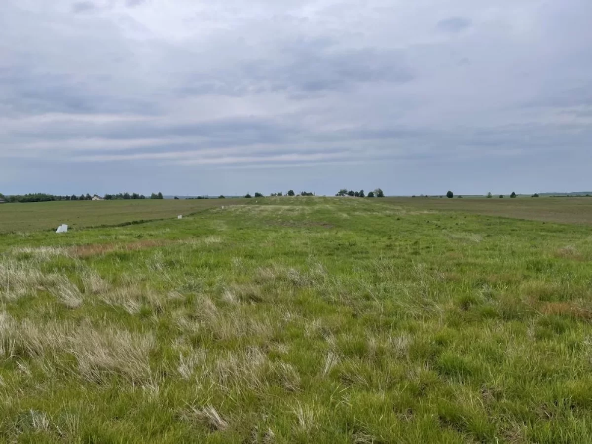 Sprzedam działkę budowlaną - Gostynin, ul. Krośniewicka