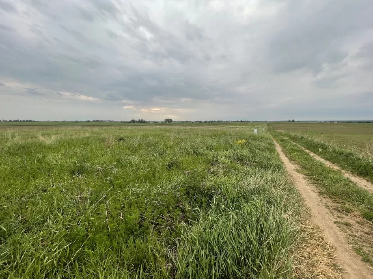 Sprzedam działkę budowlaną - Gostynin, ul. Krośniewicka