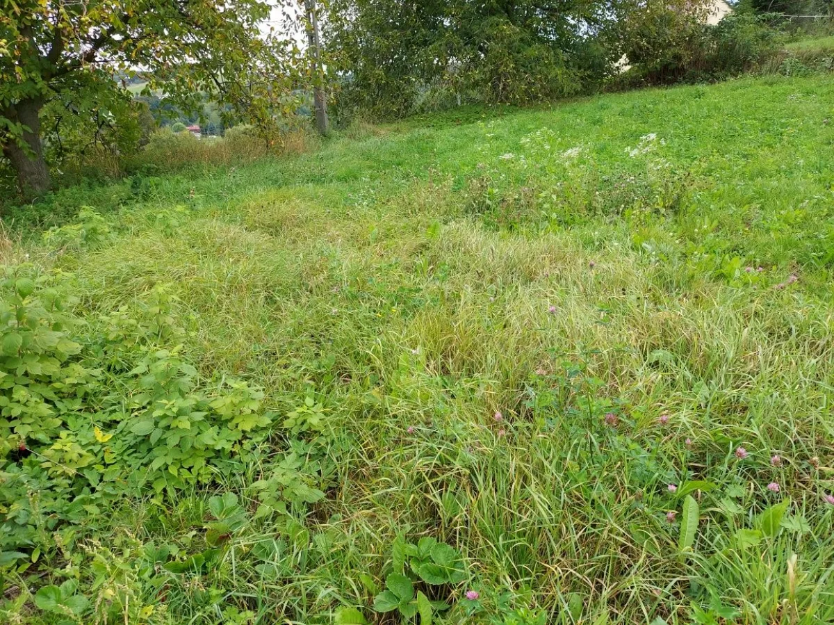 Sprzedam działkę budowlaną Lipnica Dolna