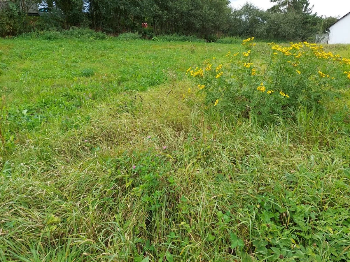 Sprzedam działkę budowlaną Lipnica Dolna