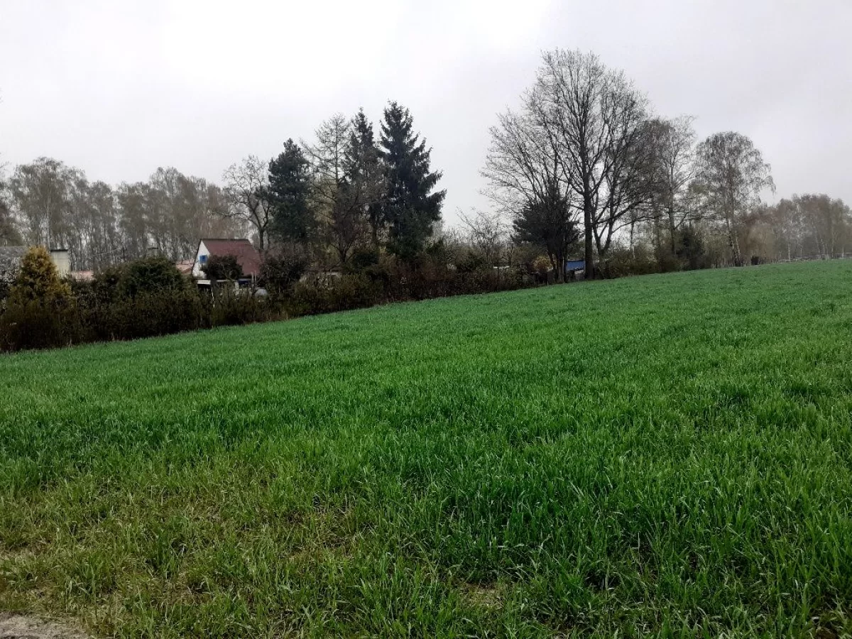sprzedam działki budowlane w Zgierzu WZ
