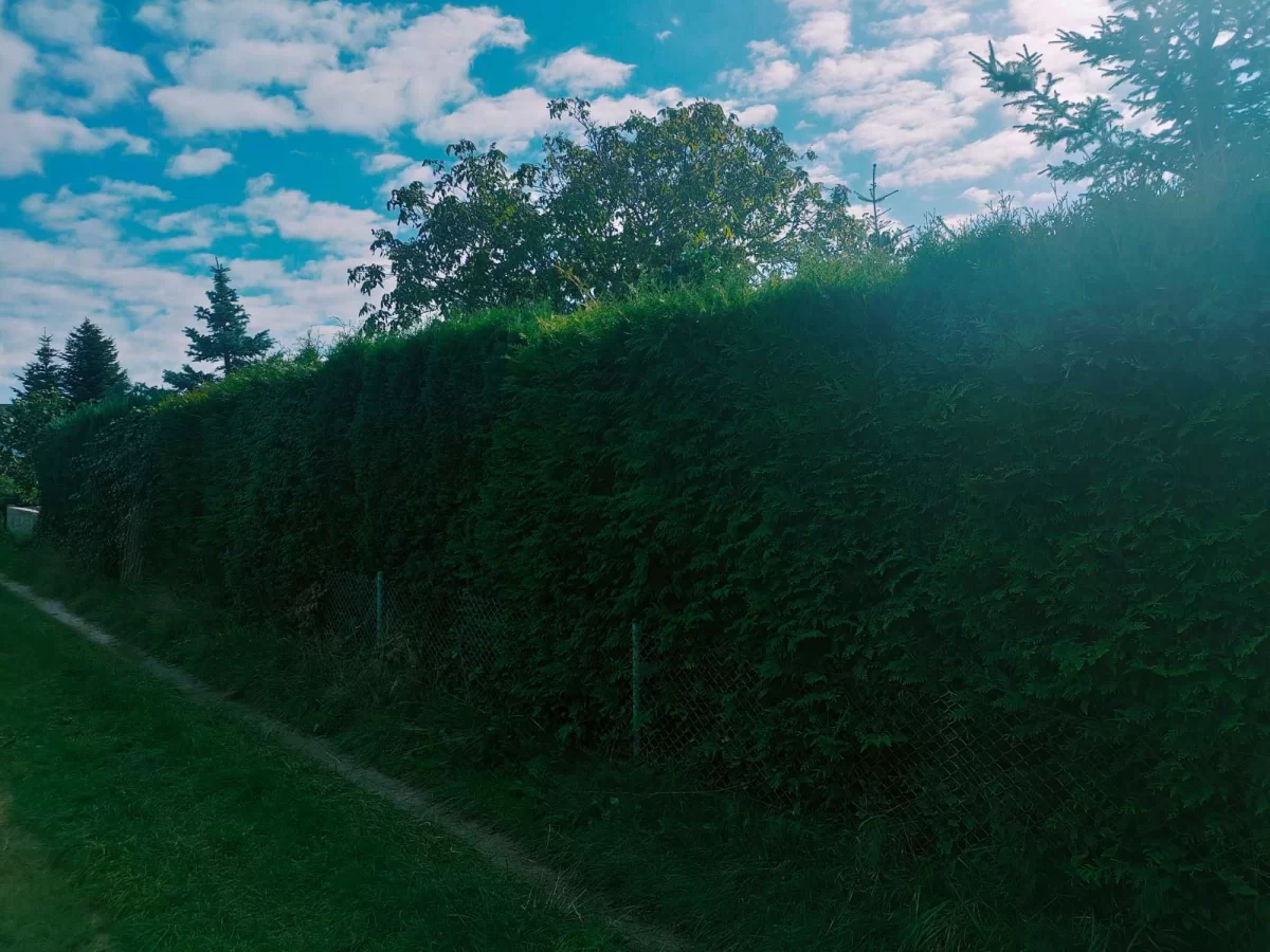 Sprzedam działkę ogródek działkowy Łeba