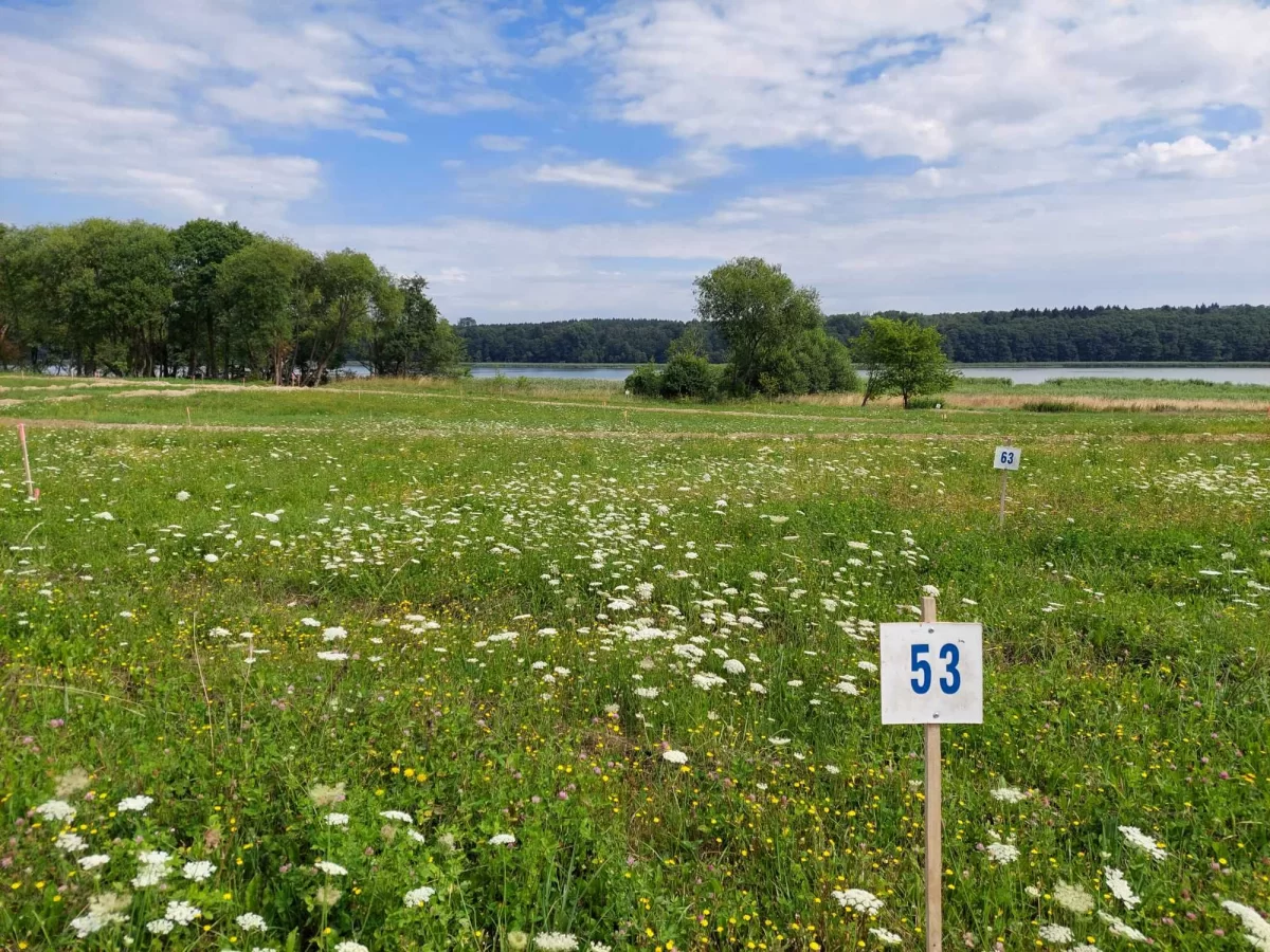 Działki rekreacyjne nad jeziorem z dostępem do plaży