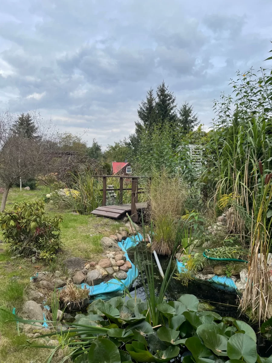 Sprzedam Działka Rod 540m2 Zduńska Wola ogródek działkowy