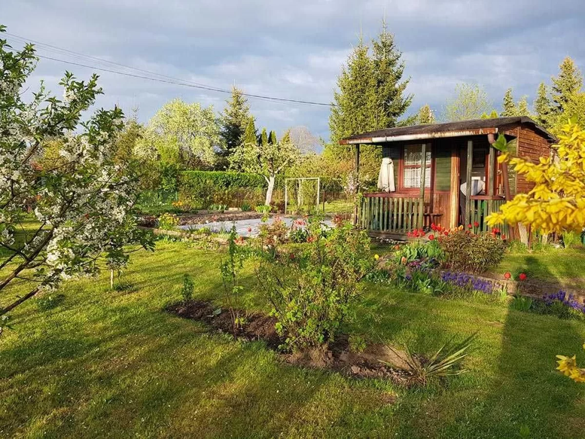 Działka rekreacyjna ROD Złote Piaski br.5 300m2