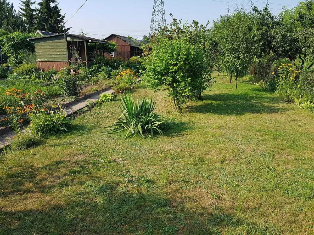 Działka rekreacyjna ROD Złote Piaski br.5 300m2