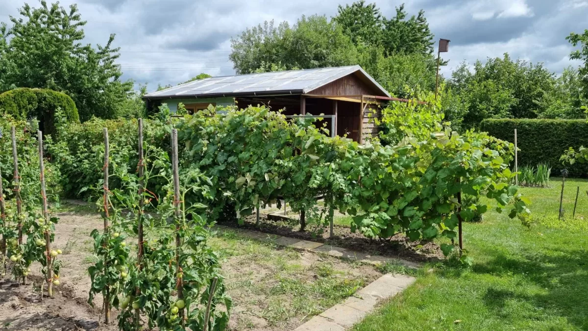 Sprzedam Działka RODO Siedlce Złote Piaski 390m2 z domkiem 20m2