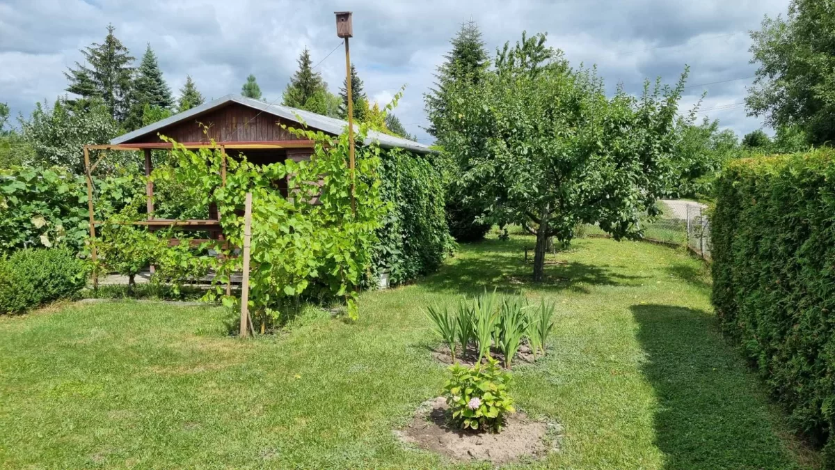 Sprzedam Działka RODO Siedlce Złote Piaski 390m2 z domkiem 20m2