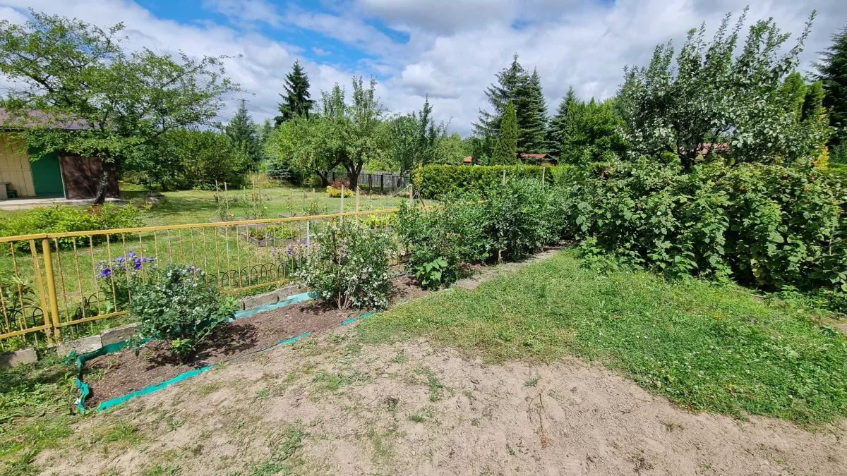 Sprzedam Działka RODO Siedlce Złote Piaski 390m2 z domkiem 20m2
