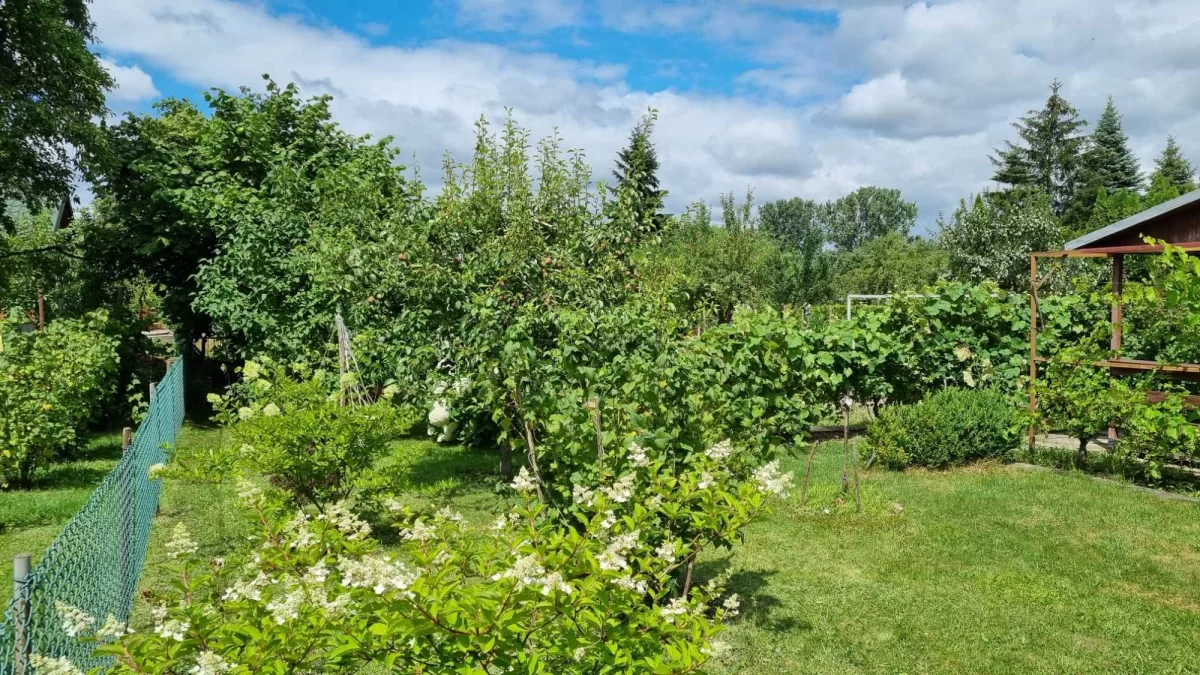 Sprzedam Działka RODO Siedlce Złote Piaski 390m2 z domkiem 20m2