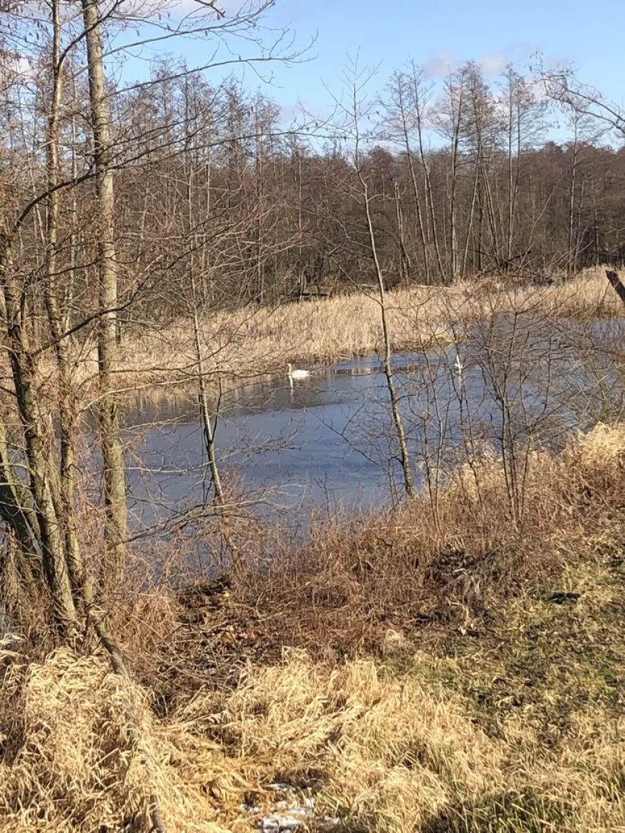 Sprzedam działkę Kazimierz Dolny dzialka ze zbiornikiem wodnym