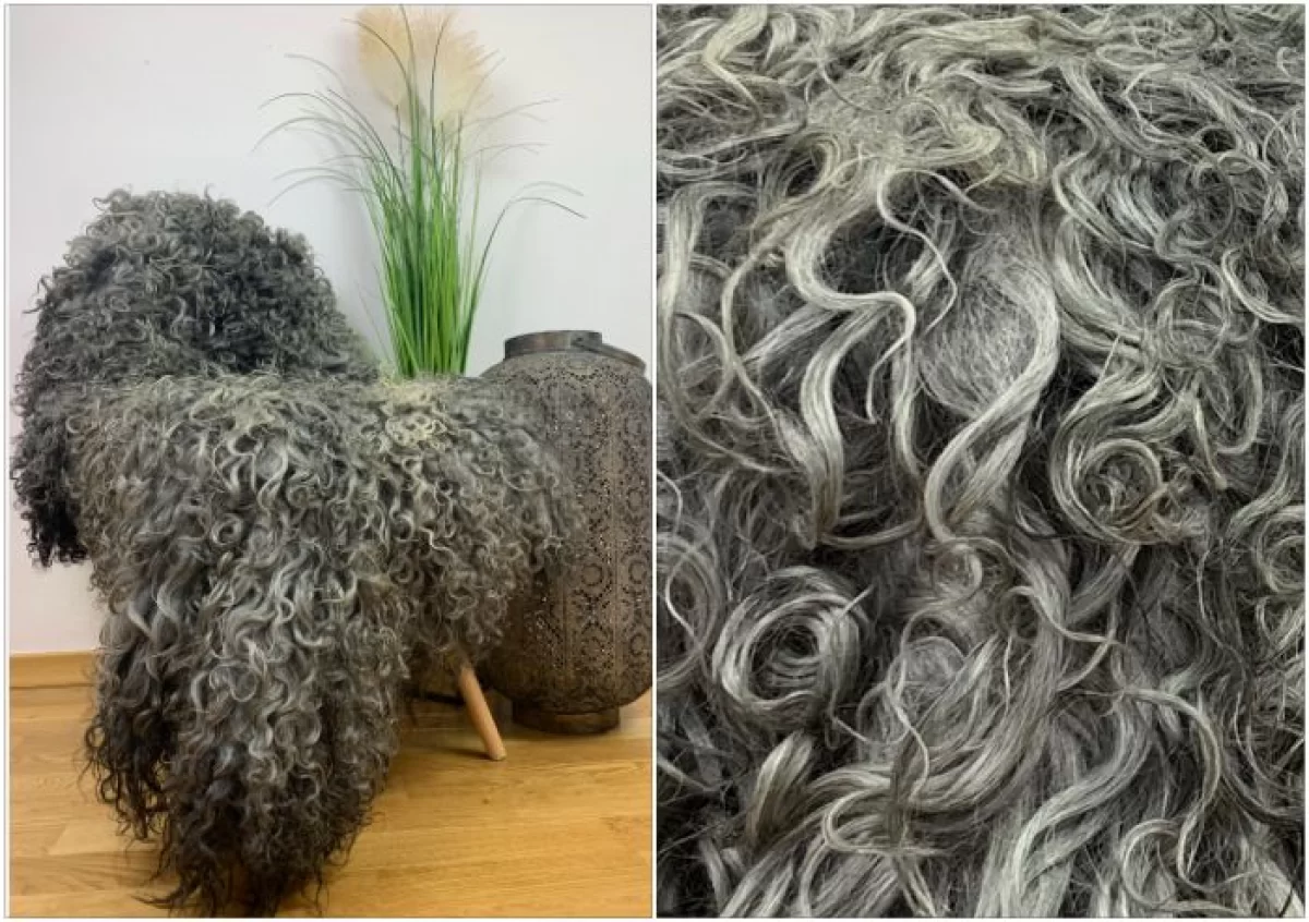 Stylowy dywan, uniwersalna naturalna skóra owcza Gotland
